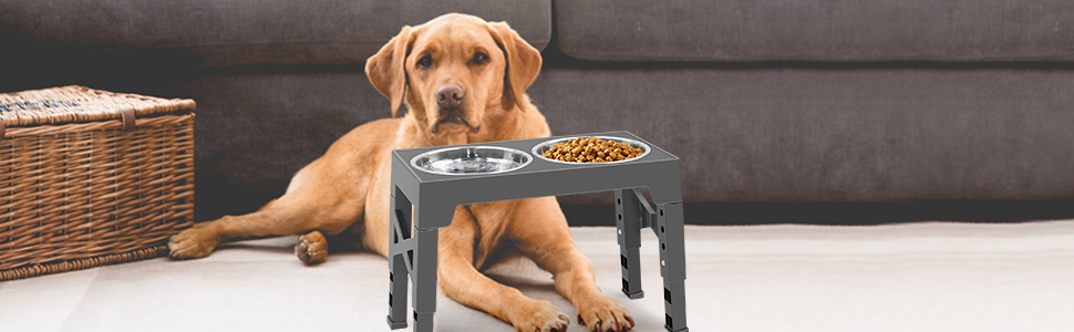 Підвищена годівниця для собак FOSTBEEN з 2 мисками з нержавіючої сталі та повільною годівницею, регульована по висоті