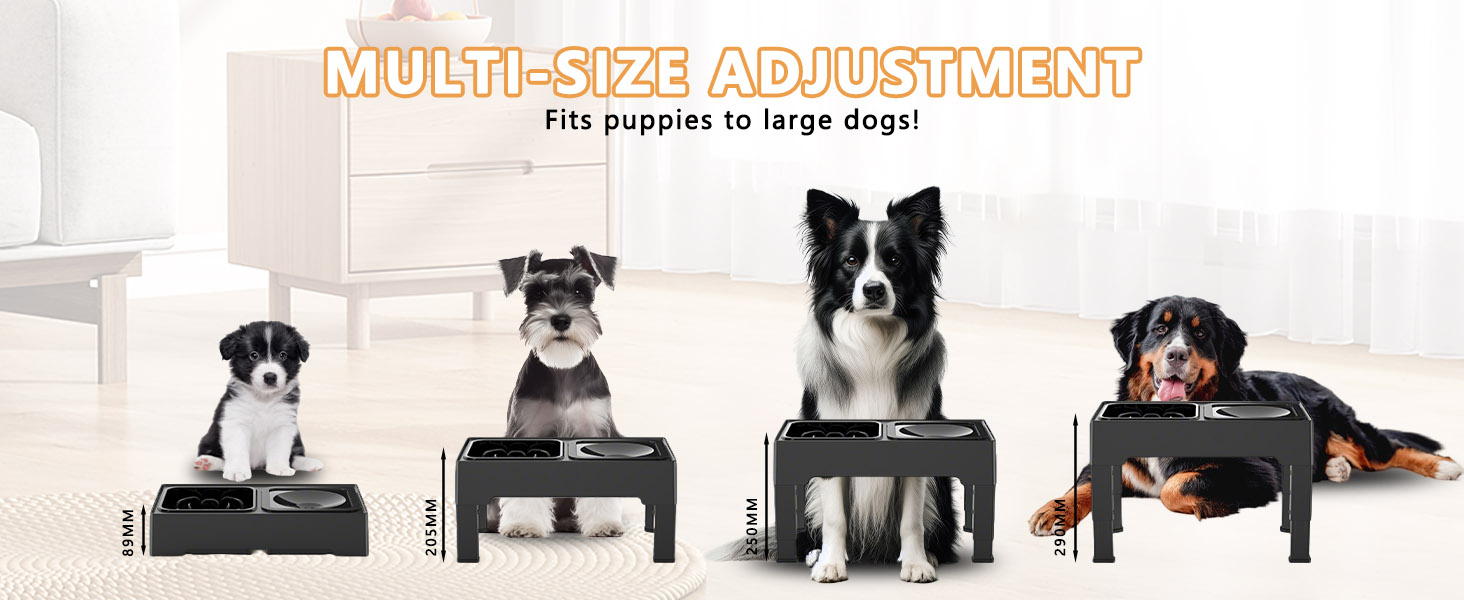 Підвищений годівниця для собак з регульованою висотою, 1600 мл, нержавіюча сталь, антизадушливий та повільне годування, для собак маленьких, середніх та великих порід