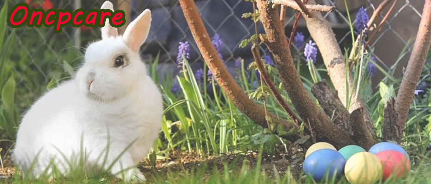 Напувачка для кроликів, свиней, хом'яків та інших дрібних тварин, 482 мл, блакитна