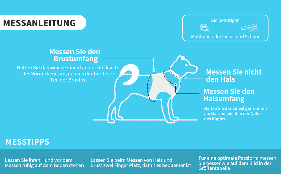 Нашийник та поводок для цуценят, комплект для прогулянок, нашийник Step-in, м'який, дихаючий, аксесуари для домашніх тварин, світловідбиваючі смуги, для дуже маленьких собак та котів, Бежевий, XXXS Бежевий XXXS (Обхват грудей: 21.5 - 25.5 см)