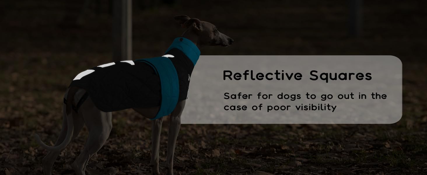 Тепла куртка для грейхаундів та інших породистих собак, флісова підкладка, блакитна