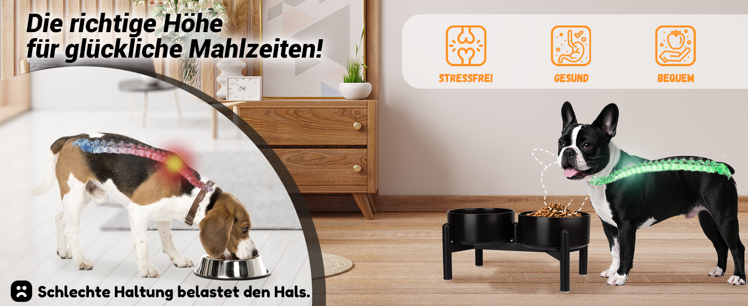 Набір мисок для собак на підставці: 2 миски з кераміки з нержавіючою підставкою, 850 мл, сірий колір. Ідеально для маленьких та середніх собак