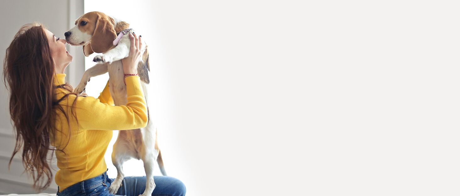 Дощовик для собак Vejaoo: водонепроникний, світловідбиваючий, з капюшоном. Підходить для малих, середніх та великих собак. Колір: помаранчевий, розмір: L