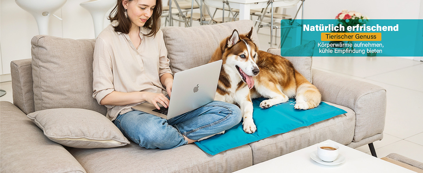 Кühlmatte для собак Pawtasy: охолоджуючий килимок для собак великих та середніх порід, 100 x 60 см, блакитний