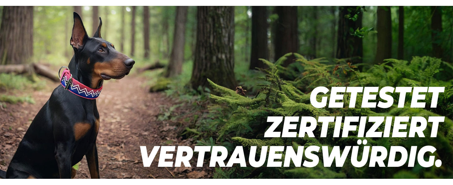 Нашийник для собак Premium NeckShield Kontroll – 5 см, з посиленим амортизуючим наповнювачем, сертифікована безпека SGS, професійний захист для великих і дуже великих собак, 50-58 см, колір Джунглі Ніч