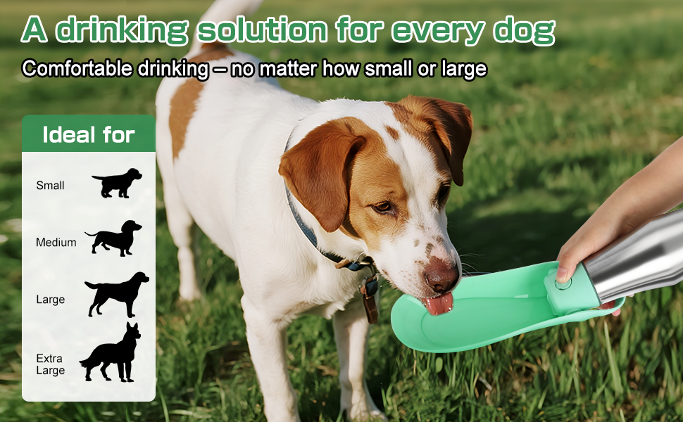Водяна пляшка для собак на прогулянці - не протікає, з нержавіючої сталі, 750 мл