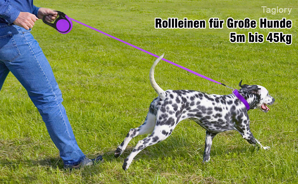 Витяжна повідка для собак середніх та великих порід Taglory, до 45 кг, 5 м, антиковзний хват, безпечна система зупинки, фіолетовий