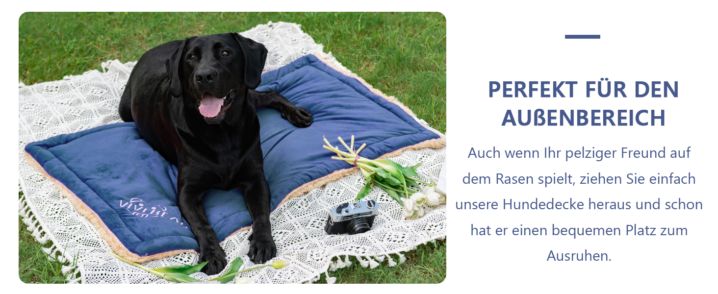 Килимок для собак, ліжко для великих собак Comfy - миючий, плюшевий, стильний, 110x70 см, блакитний