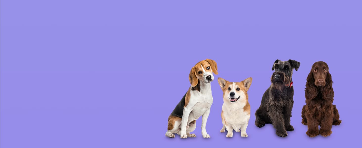 Ортопедичне собаче ліжко Normani для великих, середніх та маленьких собак - м'яке ліжко-диван з високим бортиком, колір бежевий, розмір 60x80x16 см