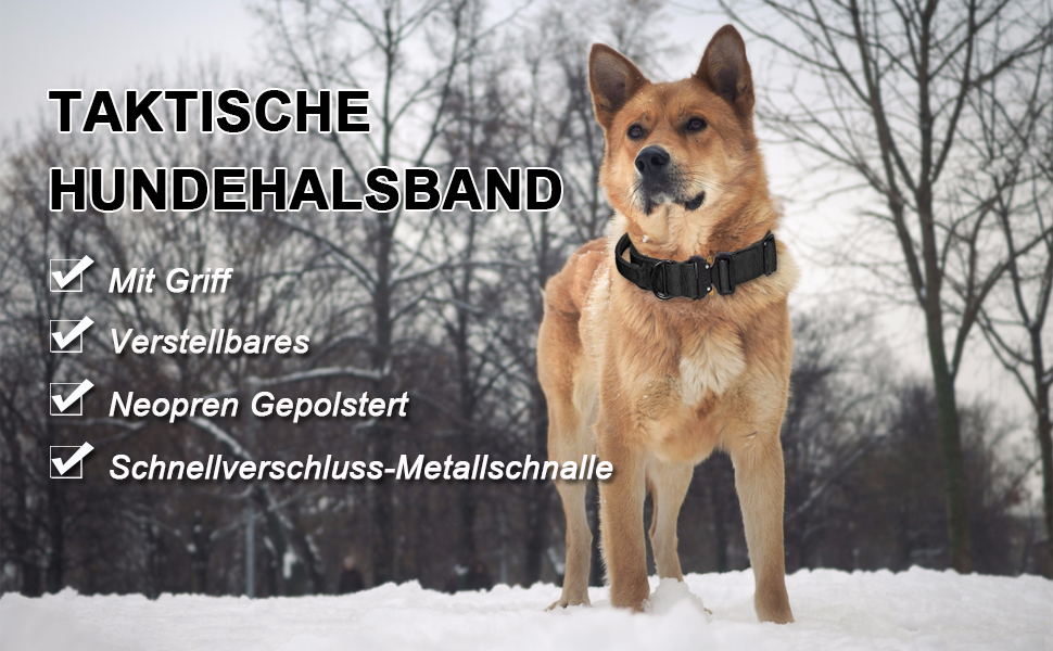 Нашийник для собак Vivi Bear тактичний, регульований, з контролем, нейлон, неопрен, для великих собак, червоний, розмір L