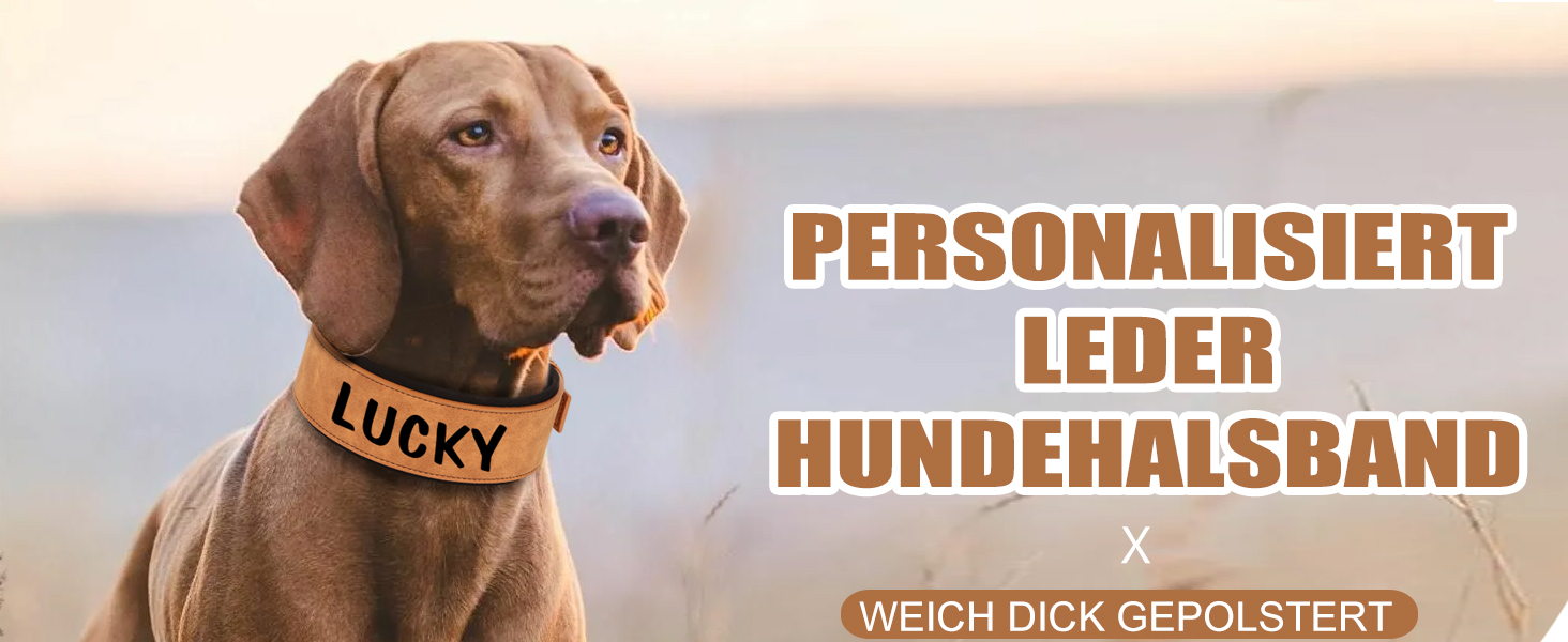 Нашийник для собак середніх та великих порід PET ARTIST з міцної шкіри PU, регульований, з металевою застібкою, для Пітбулів та великих собак, чорний, L (43-51 см)