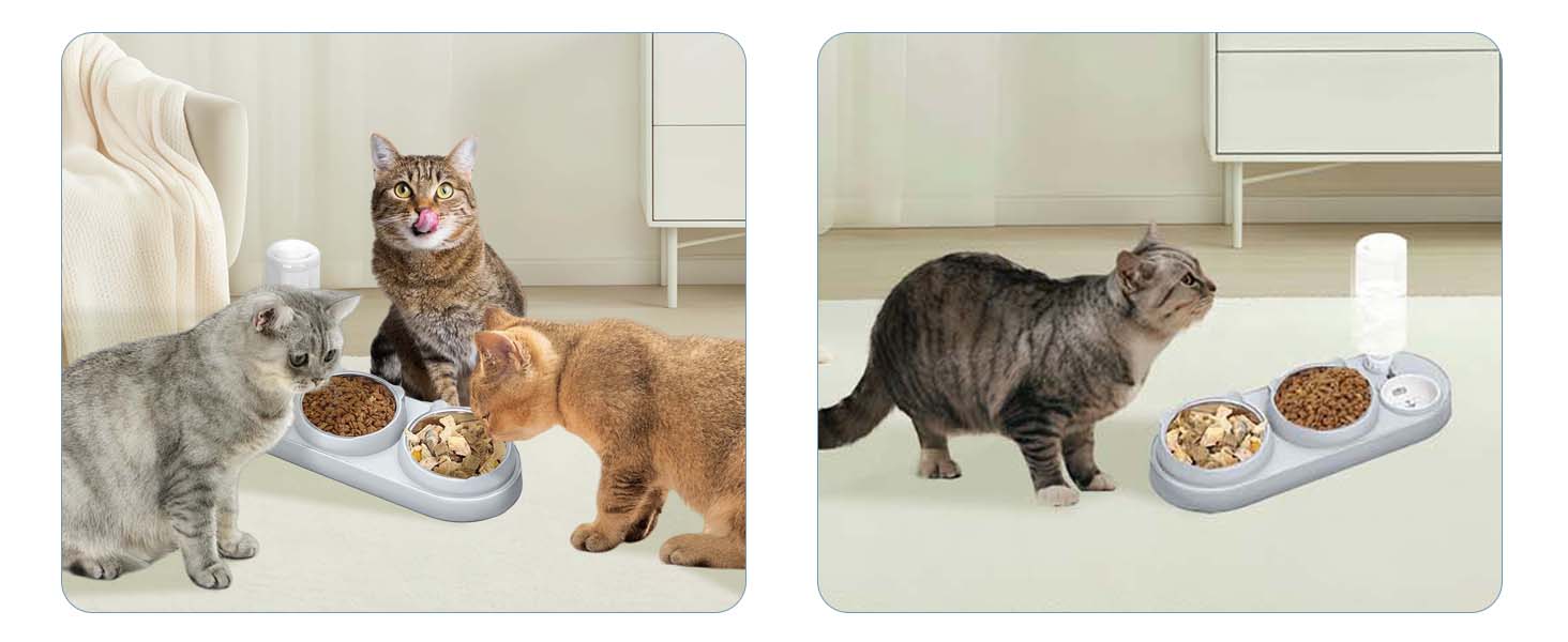 Набір мисок для котів Marchul 3 в 1: годівниця, поїлка з дозатором, миски з нержавіючої сталі, нахил 15°, для котів та собак маленьких та середніх порід (сірий)