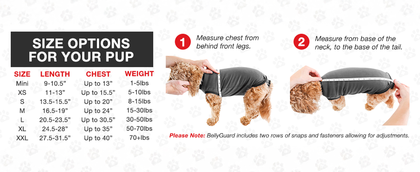 Захисний боді для собак після операції (кастрація/стерилізація), альтернатива нашийнику, сірий, 2XL