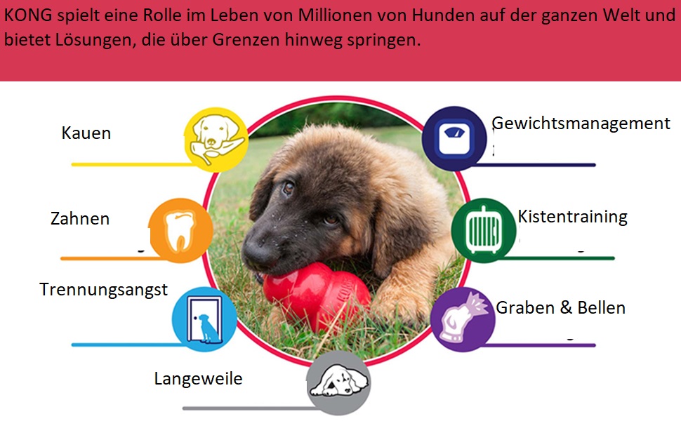 KONG ZoomGroom - щітка для грумінгу та миття собак, великі породи (червона)