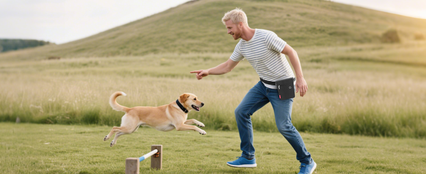 Лекарства для собак з магнітною застібкою, сумка для дресирування собак з знімною внутрішньою кишеню, багатофункціональна сумка для ласощів для собак зі змінним дозатором відходів, сіра (чорна)