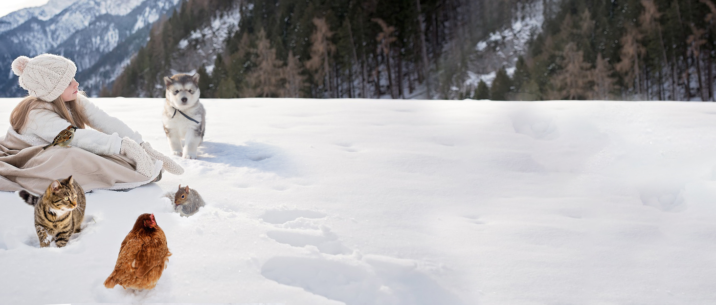 Зимова куртка для собак Namsan з натуральної шкіри, чорна, розмір M, водонепроникна
