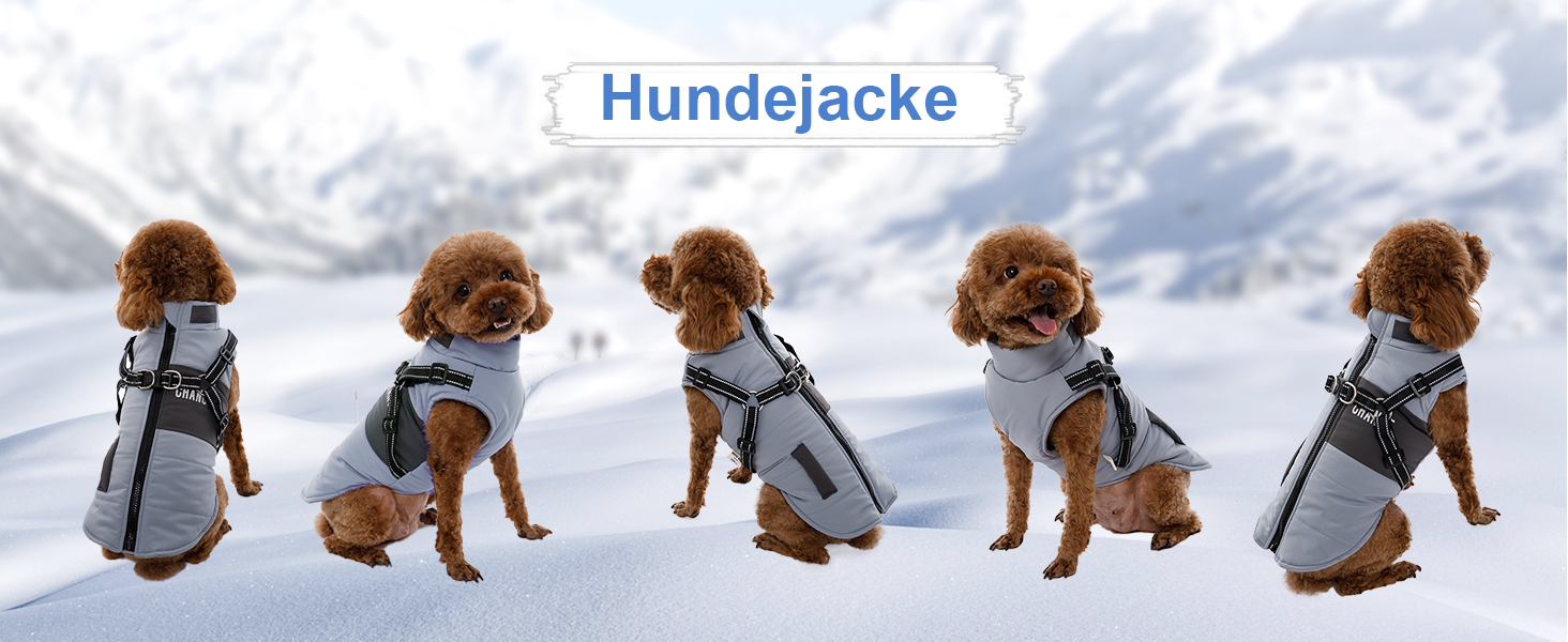 Теплий зимовий одяг для собак: куртка, жилет, плащ для маленьких та середніх порід, рожевий