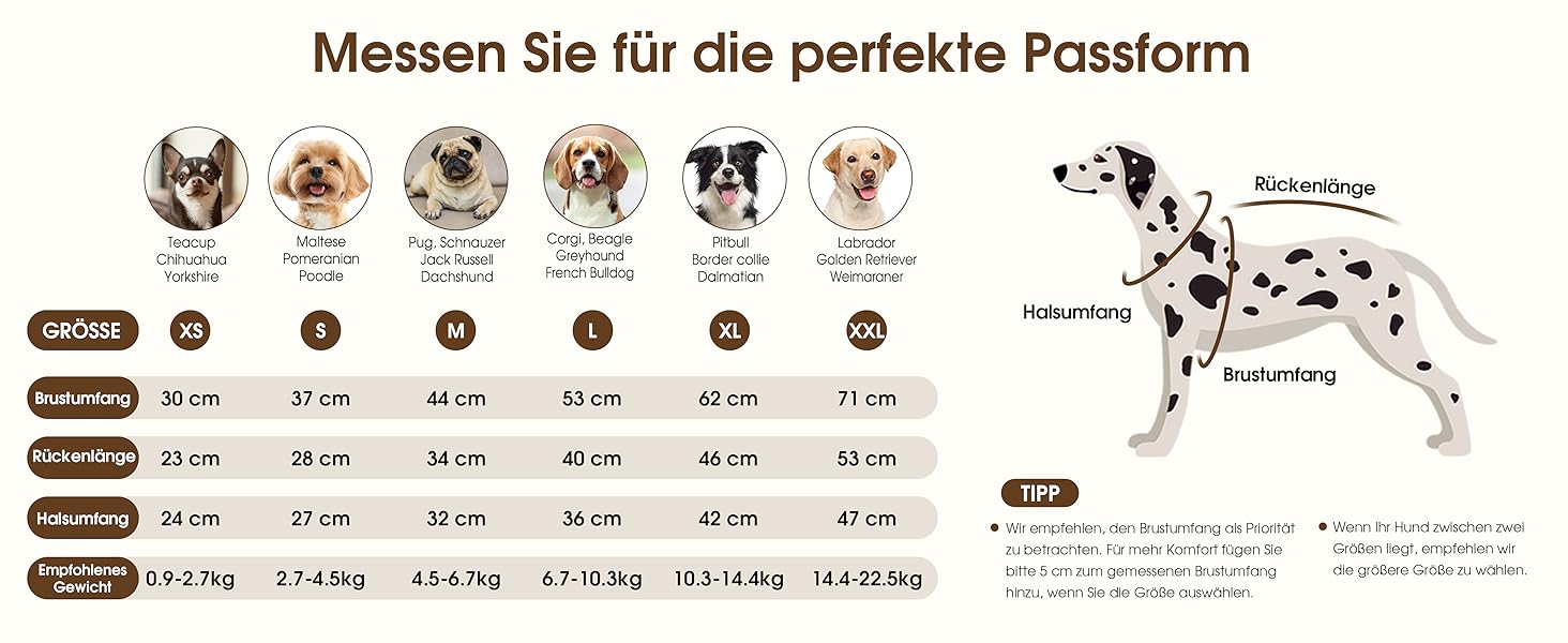 Пуловер для собак середніх порід Queenmore, м'який та теплий, фіолетовий, розмір M