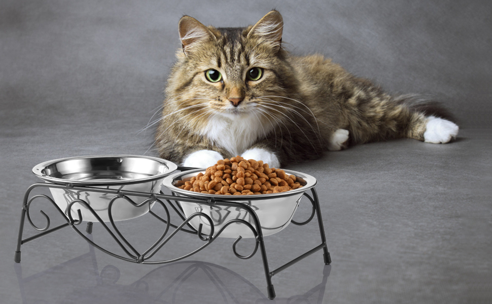 Набір мисок для котів та собак, підняті миски з нержавіючої сталі, 2 шт.
