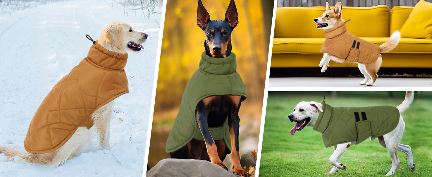 Зимовий одяг для собак великих порід: тепла куртка для такси, бульдога - вітронепроникна для дому та вулиці, кемпінгу, походів, 3XL, зелена
