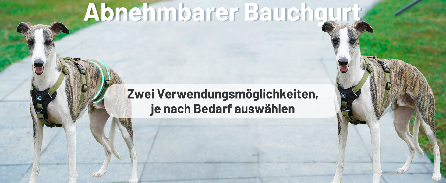 Шлейка для собак Paworld, анти-тяга, шлейка від паніки, анти-вислизання, регульована, дихаюча жилетка для собак маленьких, середніх та великих розмірів (XL) Extra Large (упаковка 1), колір: зелений