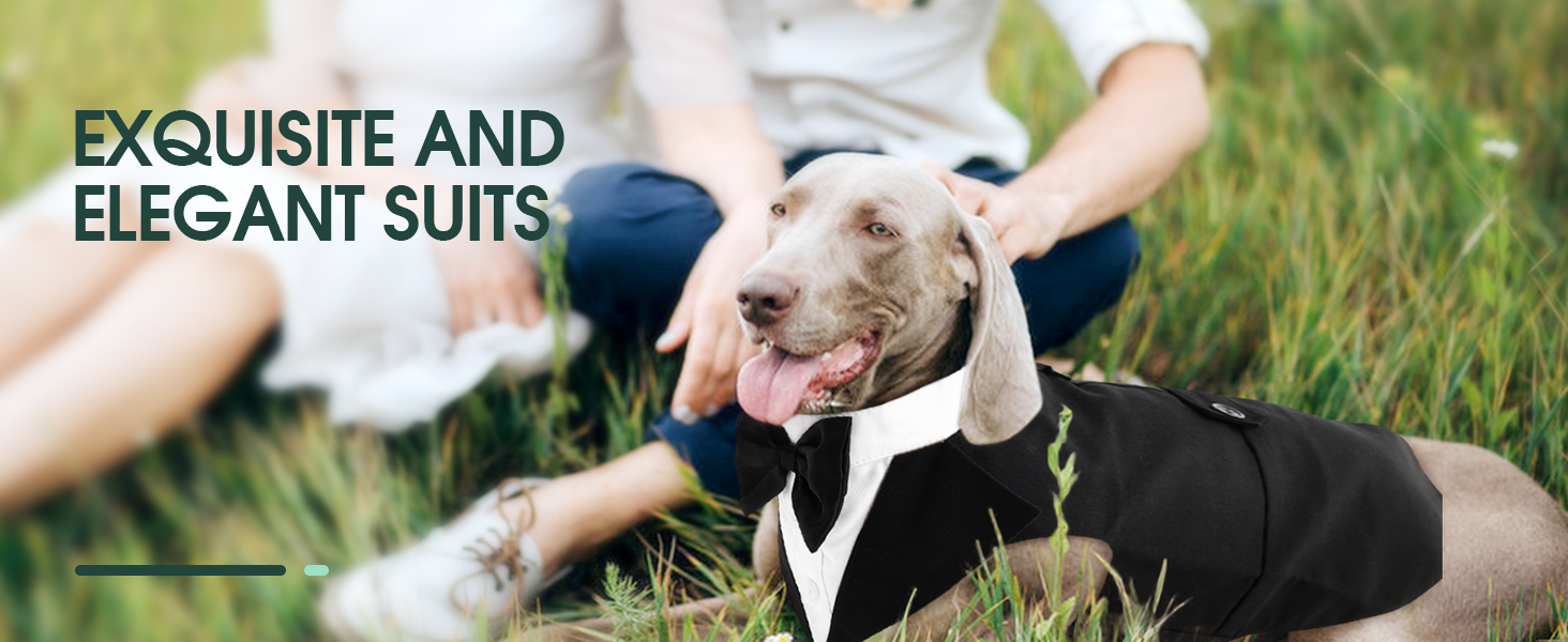 Костюм для собак Kuoser з банданою, теплий халат для собак з кріпленням для краватки, костюм для цуценят для собак, сорочка для вечірки на День народження, Хелловін, весілля, S-XXL, довжина спини M: 35 см, чорний