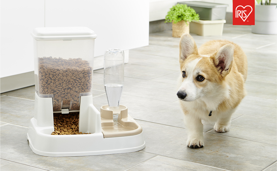 Підвищена годівниця для собак Iris Ohyama PEF-L, 2 шт. у наборі, розкладні, для здорового травлення, L29 x B57 x H31 см