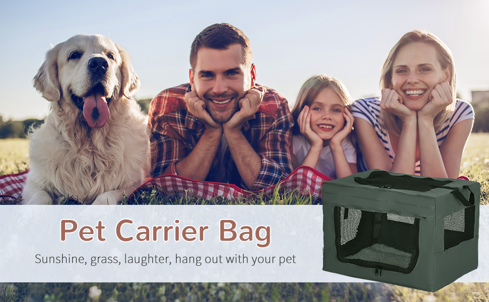 Транспортувальна переноска для тварин PawHut 80 см, сіра, для котів та собак (XS)