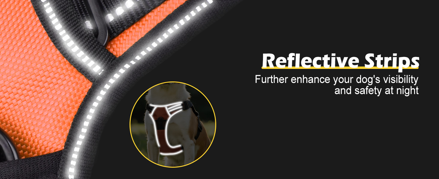 Світловідбиваючий нашийник для собак Joytale з LED, для середніх та великих собак, без натягування, з ручкою, регульований, для нічних прогулянок, зелений/помаранчевий, M/XL