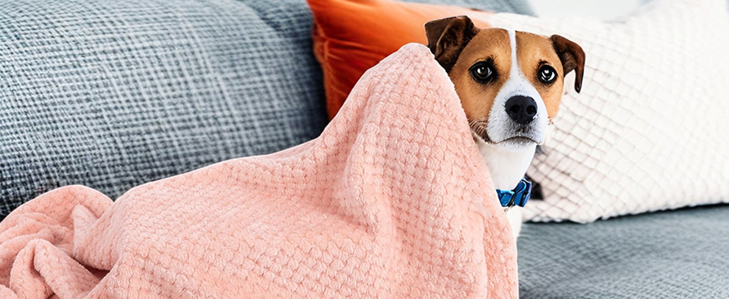 SLSON 2 шт. ковдри для собак та котів, м'які двосторонні ковдри для домашніх тварин, підійдуть для диванів, стільців, авто, подорожей. Теплі, машинне прання, 70x100 см (світло-жовтий та чорно-сірий)