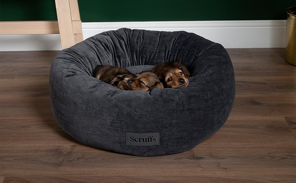 Нашийник для собак Scruffs Oslo Ringbett, розмір M, 55 см, сірий