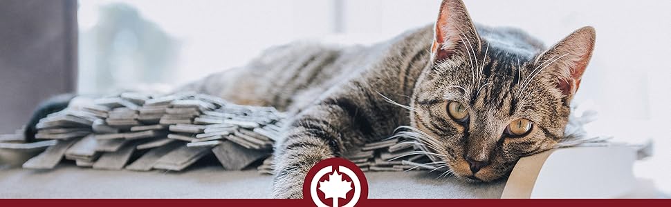 Котяча печера CanadianCat Company, коричнева, лежак для котів, 52x45x33 см, стильний будиночок-гніздо для котів