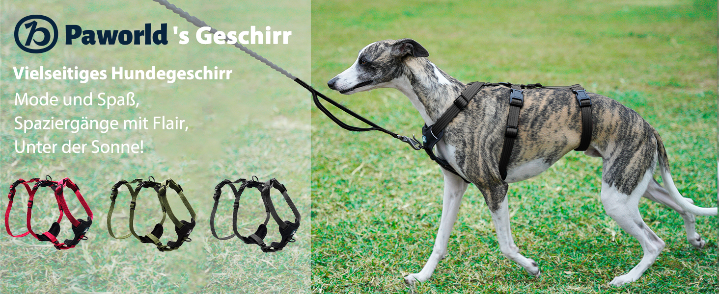 Пауерлд: Безпечна шлейка для собак, анти-тяга, паніка-шлейка, захист від втечі, регульована, дихаюча жилетка для собак (Чорний, XL) Екстра велика (упаковка з 1) Чорний