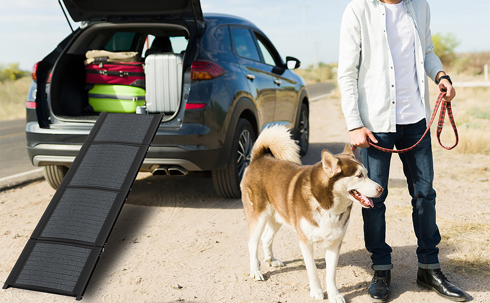 Рампа для собак у машину Hunderampe, складна, з килимком, до 110 кг, для авто, вантажівок, SUV