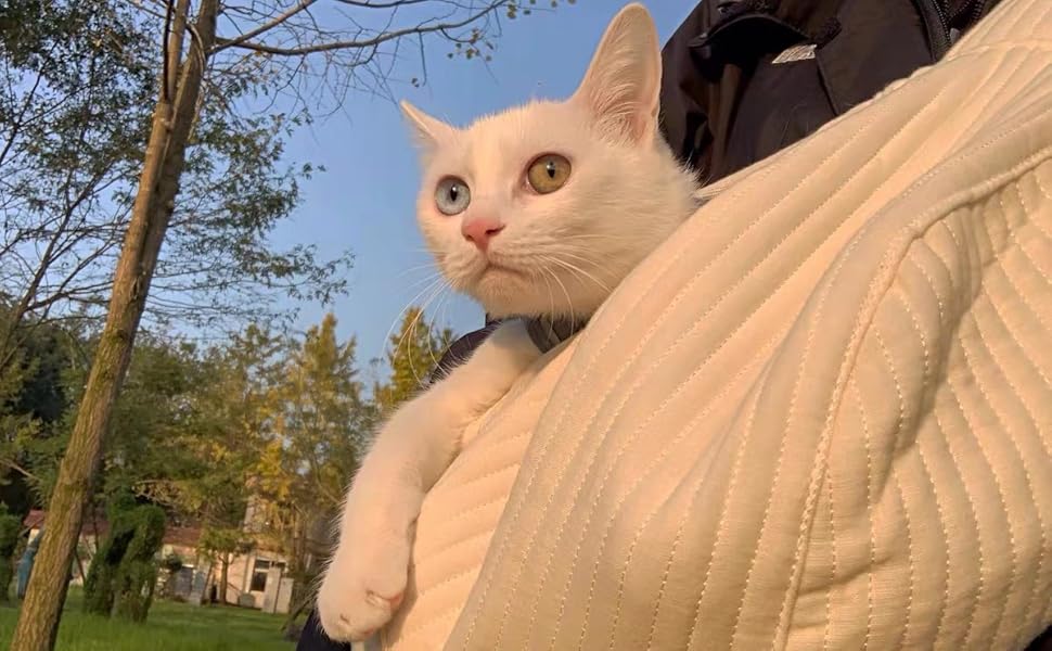 Транспортна сумка для собак і котів Tianher, дихаюча, широка, зручна, для маленьких тварин (L)