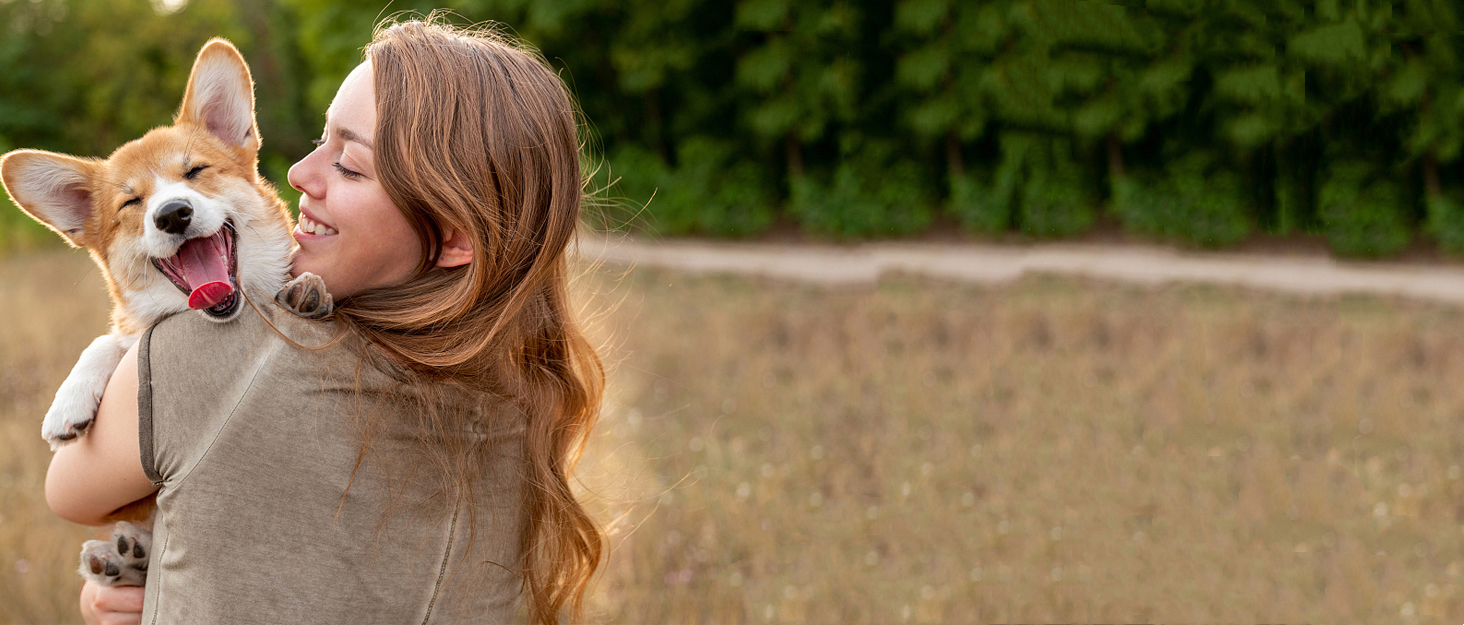 Костюм на Геловін для собак та котів: вампірський плащ чорного/червоного та чорного/фіолетового кольору, костюм кажана, XL