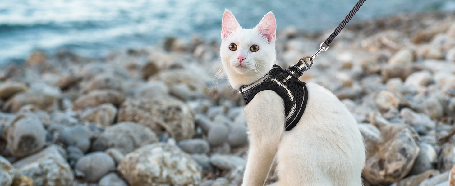 Шлейка для котів Rabbitgoo з повідком, чорна, M (XL, 1 шт.)