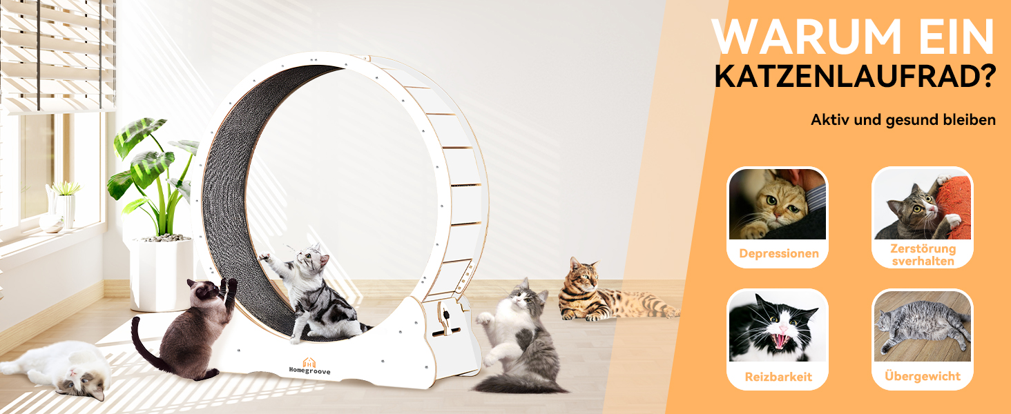 Катання для котів Homegroove, 113 см - біле, XL. Бігове колесо для котів знімним килимком для схуднення та здоров'я