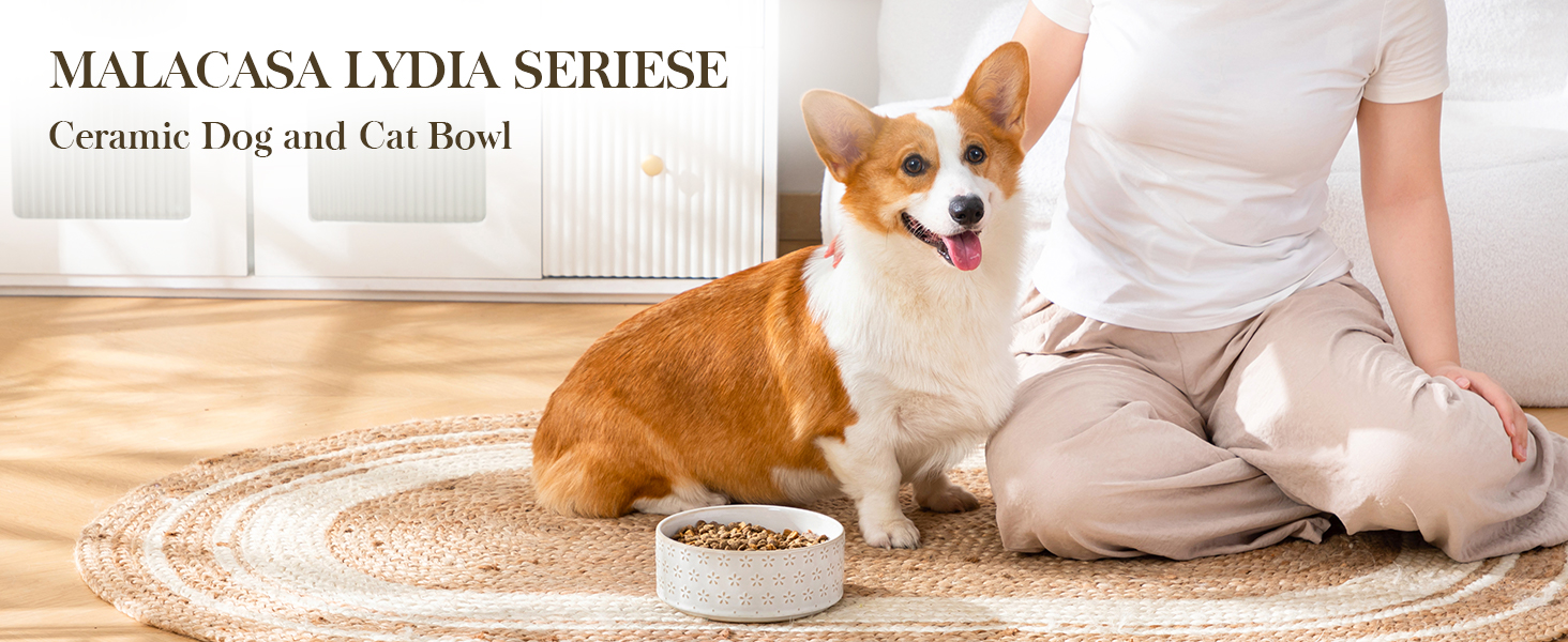 Миска для собак Malacasa з підставкою з горіхового дерева, 450 мл, подвійна миска для собак та котів, для корму та води, неслизька підставка, дизайн у формі п'ятипелюсткового клеверу та соти (1000 мл * 1, п'ятипелюстковий клевер)