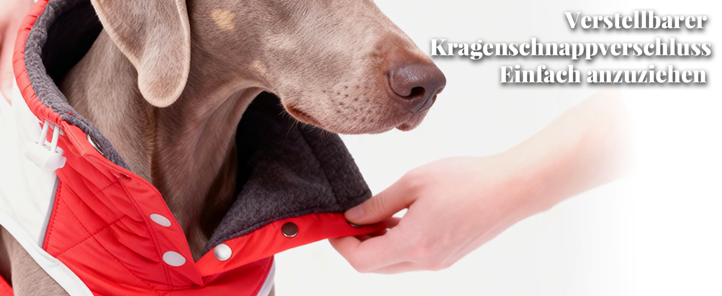 Зимовий теплий куртка для собак, вітро- та водовідштовхуючий, з потовщеним коміром, регульована блискавка, тепла зимова куртка для собак (Червоний/Сірий, M (58,6-68,6 см))