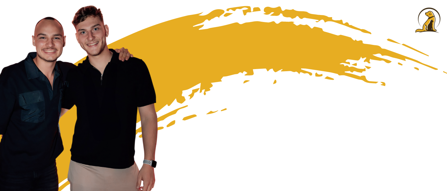 Світловідбиваючий нашийник для собак Tierhood - LED нашийник для маленьких та великих собак, оранжевий, розмір S (30-45 см)