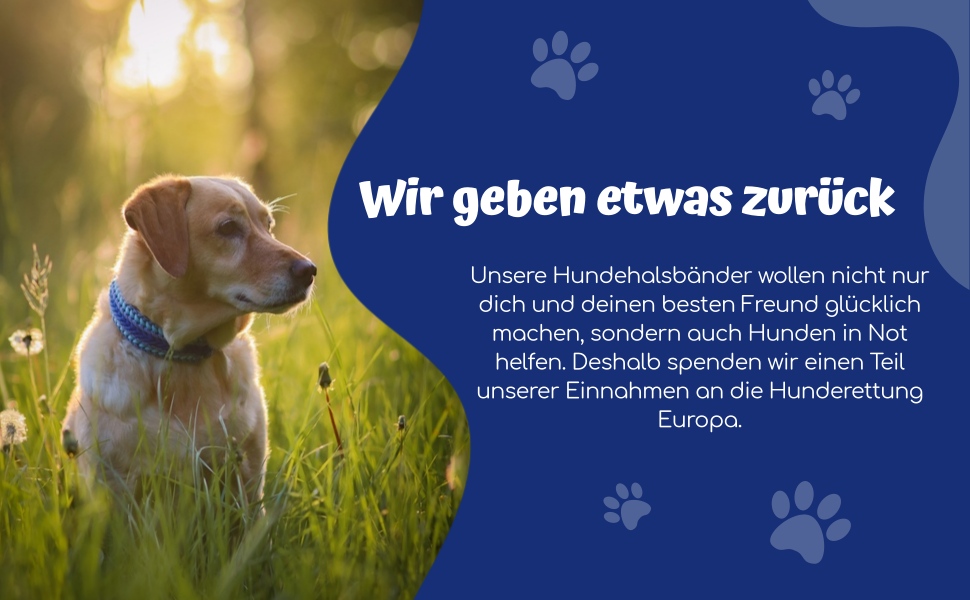 Широкий нашийник для собак FairPaw з паракорду, ручна робота, регульований, для середніх і великих собак, синій, L, екологічний