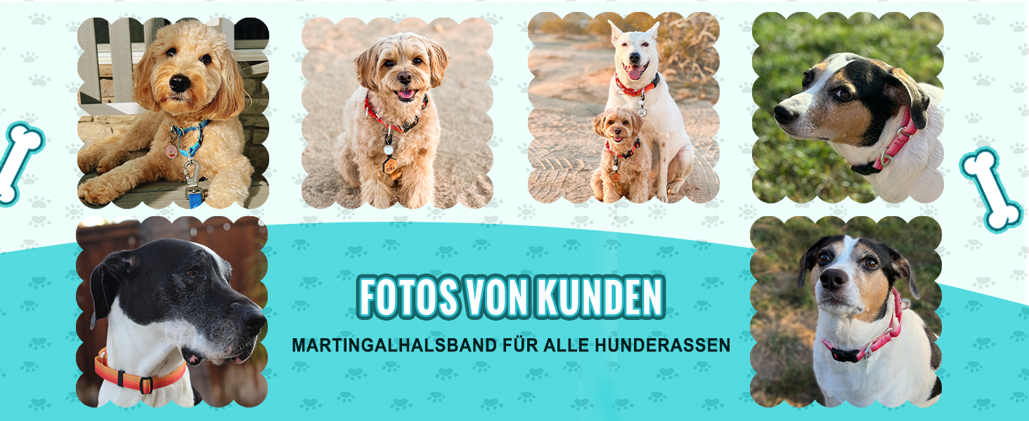 Відбиваюче нашийник для собак Martinage, нашийник-стоп для собак великих, середніх та малих порід, нашийник-стоп для Whippet, Greyhound, Saluki (Турквіс, S)