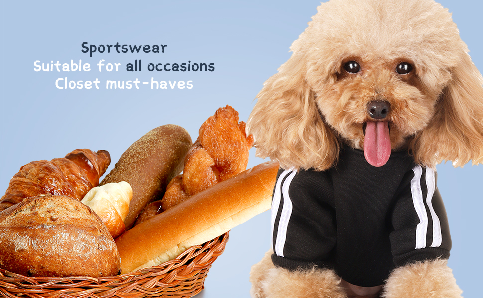 Теплий пуловер з капюшоном для собак, Чіхуахуа, великий розмір XXL, червоний