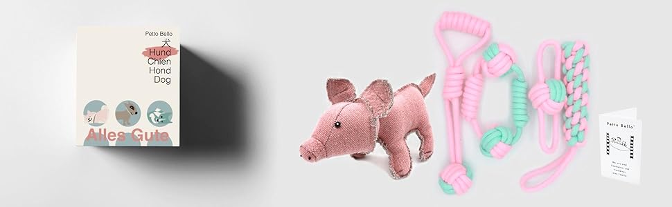 Подарунковий набір Petto Bello з 5 іграшок для собак: іграшки, гризунці, дозатор ласощів, догляд за зубами, пищалки для цуценят і собак всіх розмірів