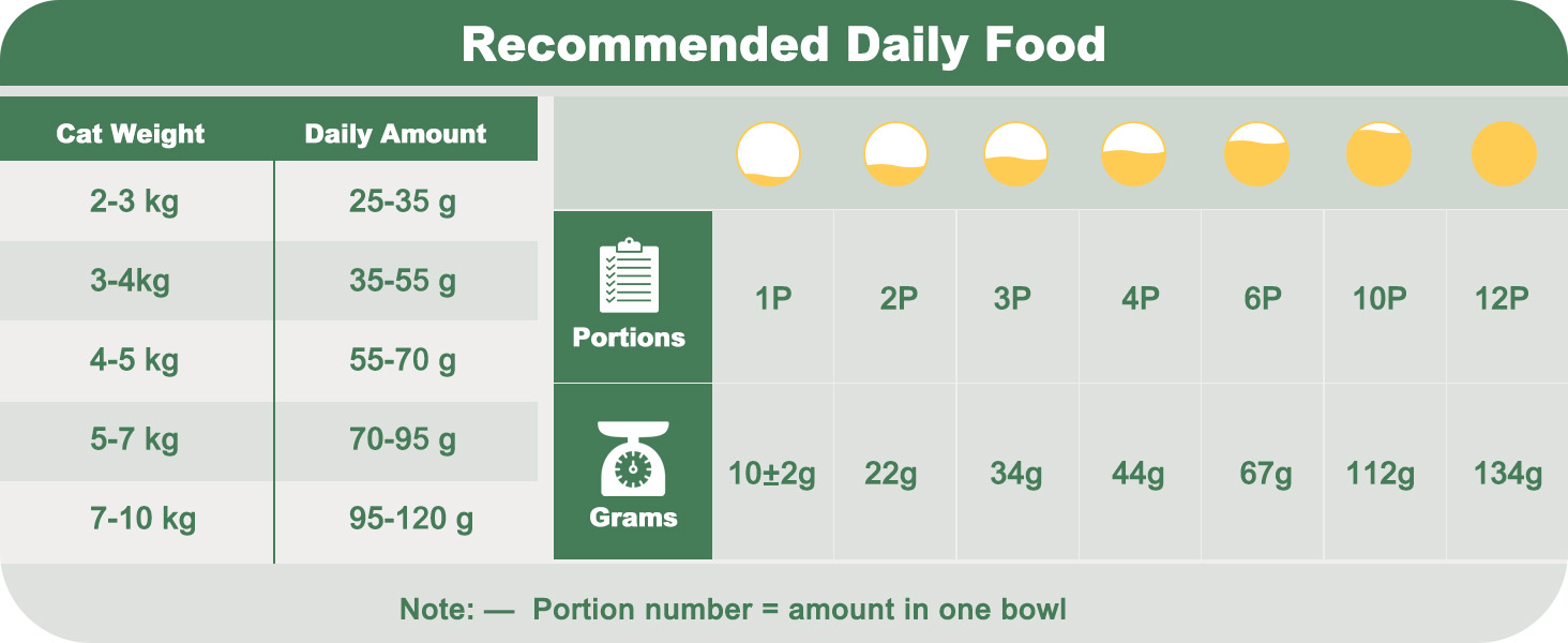 Автоматичний годівниця для котів та собак Gimars 5L з LCD-дисплеєм, 2 миски, програмування, 1-6 прийомів їжі, голосовий запис, білий колір