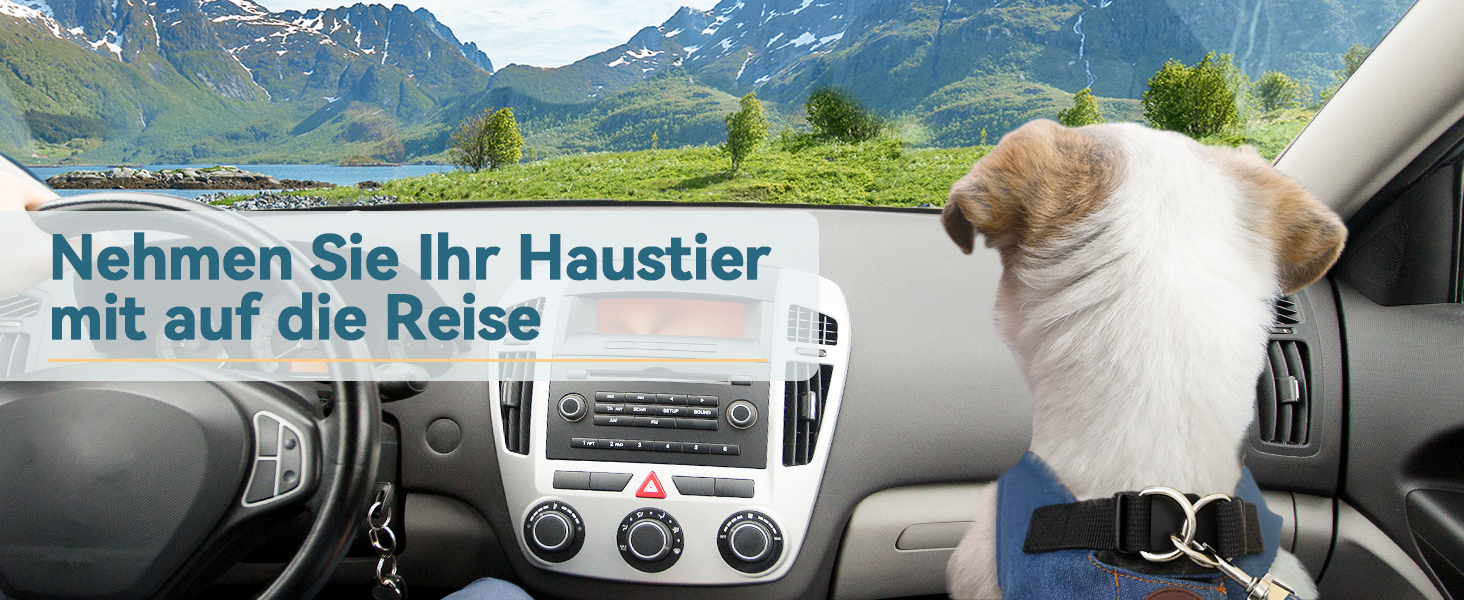 Автокрісло для собак Petsfit: безпечне та зручне автоліжко для маленьких собак, чорного кольору