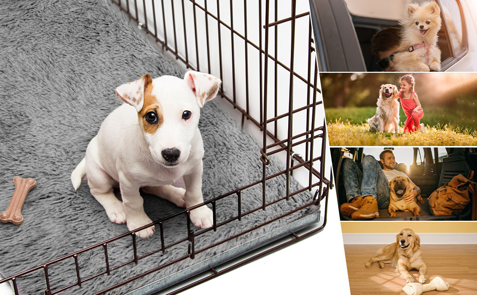 Ортопедичне ліжко для собак Medium, Memory Foam, 75x50x7 см