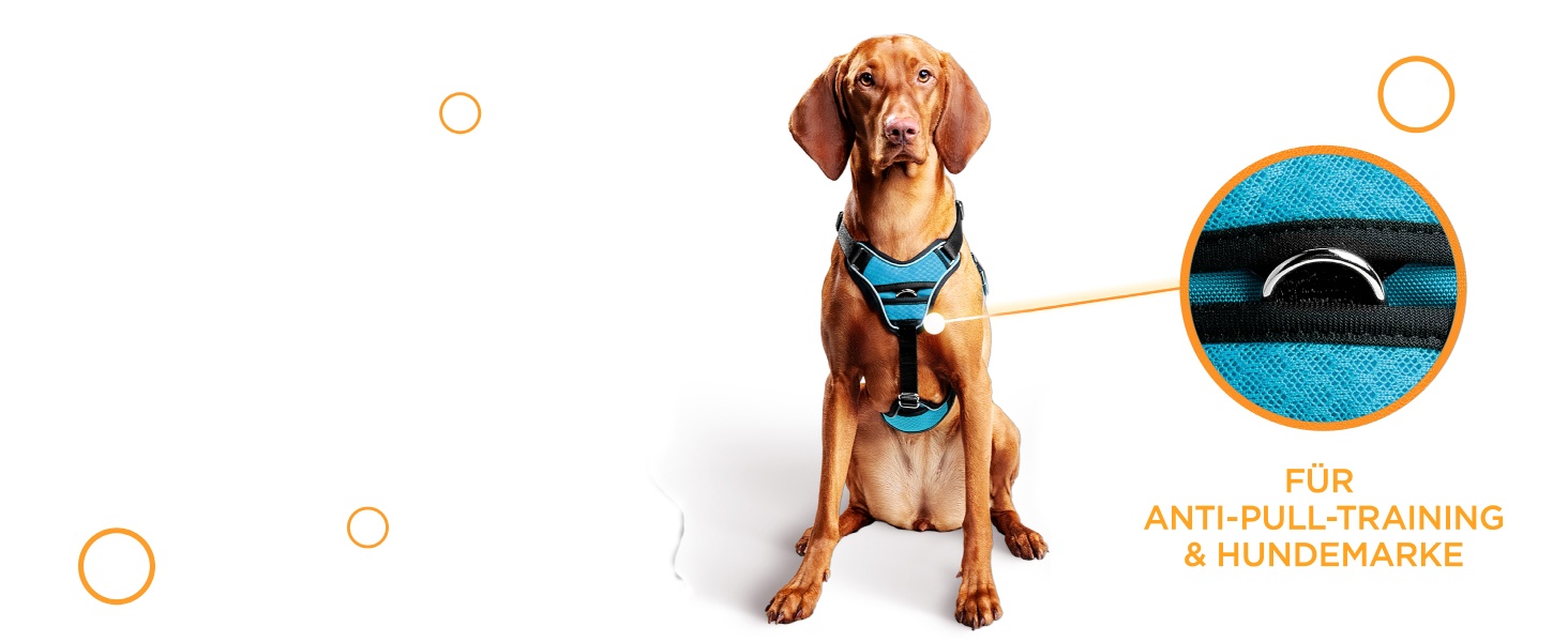 Шлейка для собак відбиваюча, з м'якою підкладкою, для собак маленьких та великих порід, синього кольору. Анти-тяга, регульована.