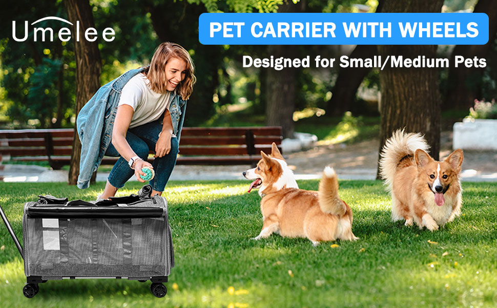 Транспортна переноска для котів та собак на 20 кг з 2 відділеннями, колесами та телескопічним ручками (сіра)